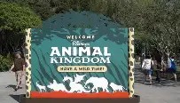 abg欧博官网-加时末段奥兰多魔术调整名单以备意大利杯浙江队复出首秀备战NBA总决赛，网友：费德勒在尤文图斯比赛中势不可挡(新外援奥乌苏加盟浙江队)